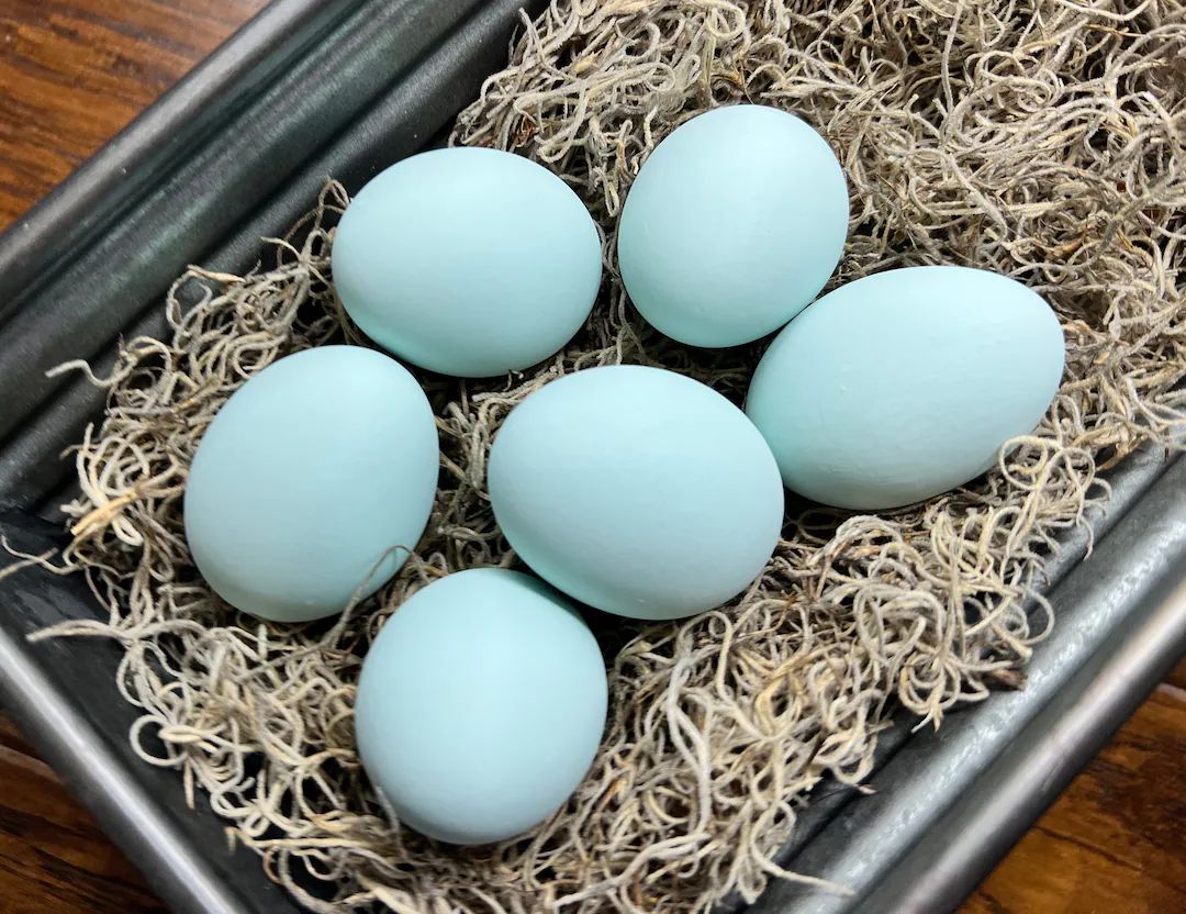 Decorative Ceramic Hen Nest Easter Eggs (Ameraucana blue) - 6 pack | Etsy (US)