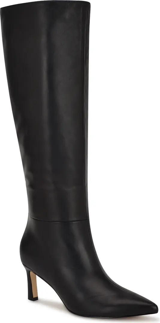 Lorthey Pointed Toe Knee High Boot (Women) | Nordstrom
