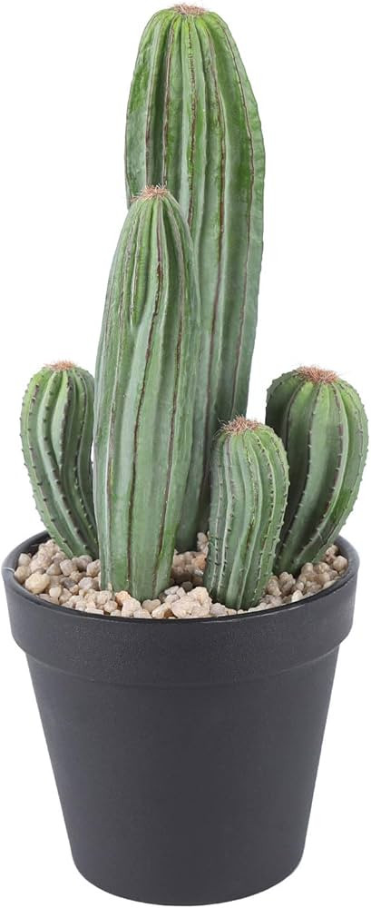 Artificial Saguaro Cactus Faux Plants 11 Inch with Black Pot for Home Office Store | Amazon (US)