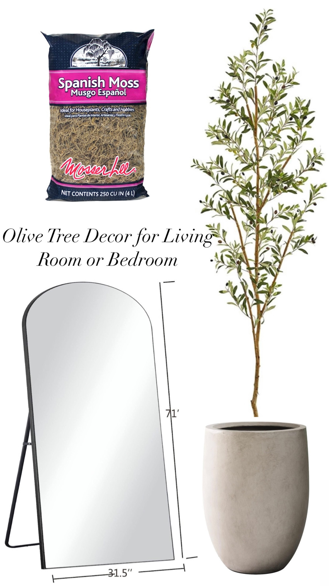 The perfect way to style a olive tree!! I had a body mirror and olive tree in my classroom and in my home! It’s the perfect touch to any space. This is how I style mine!! 

#LTKhome #LTKstyletip #LTKxPrimeDay