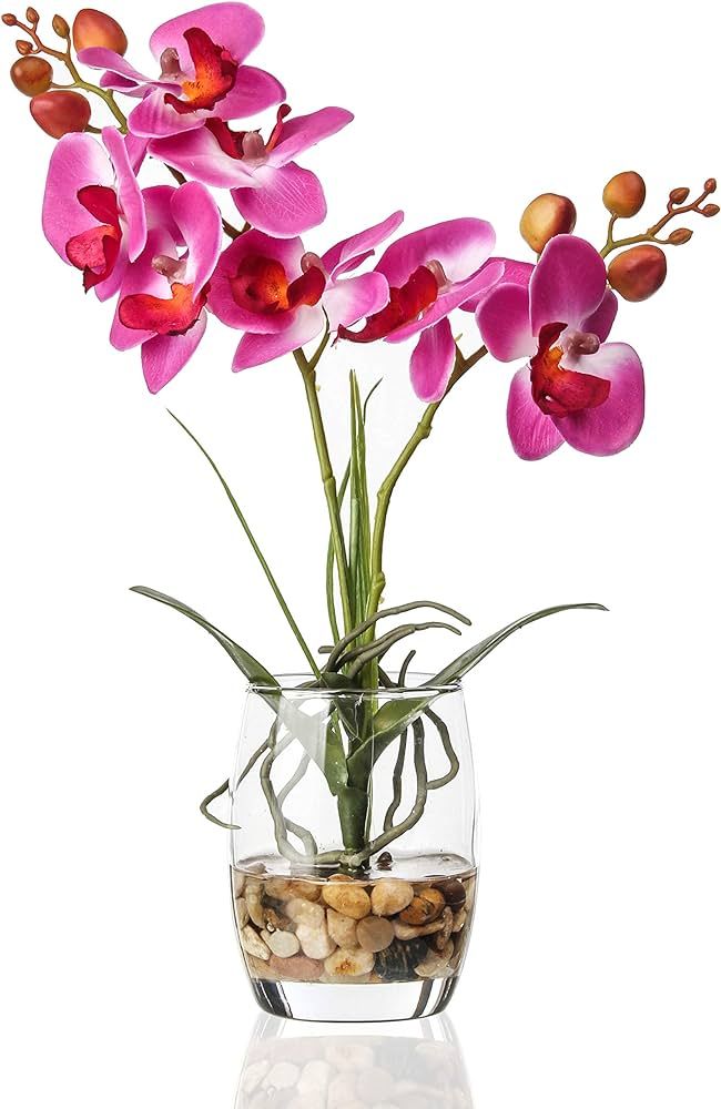 Jusdreen Artificial Flower Bonsai with Glass Vase Vivid Orchid Flowers Arrangement Phalaenopsis F... | Amazon (US)