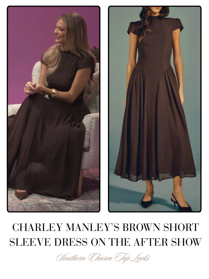 Charley Manley's Brown Short Sleeve Dress on The After Show 

 