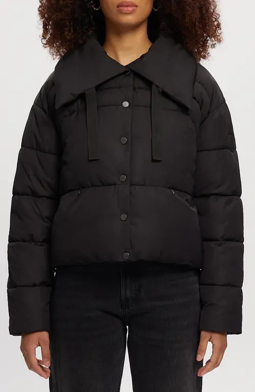 Noize Crop Puffer Jacket in Black at Nordstrom, Size X-Small | Nordstrom