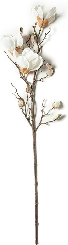 Ashland White Magnolia Branch Stem | Amazon (US)