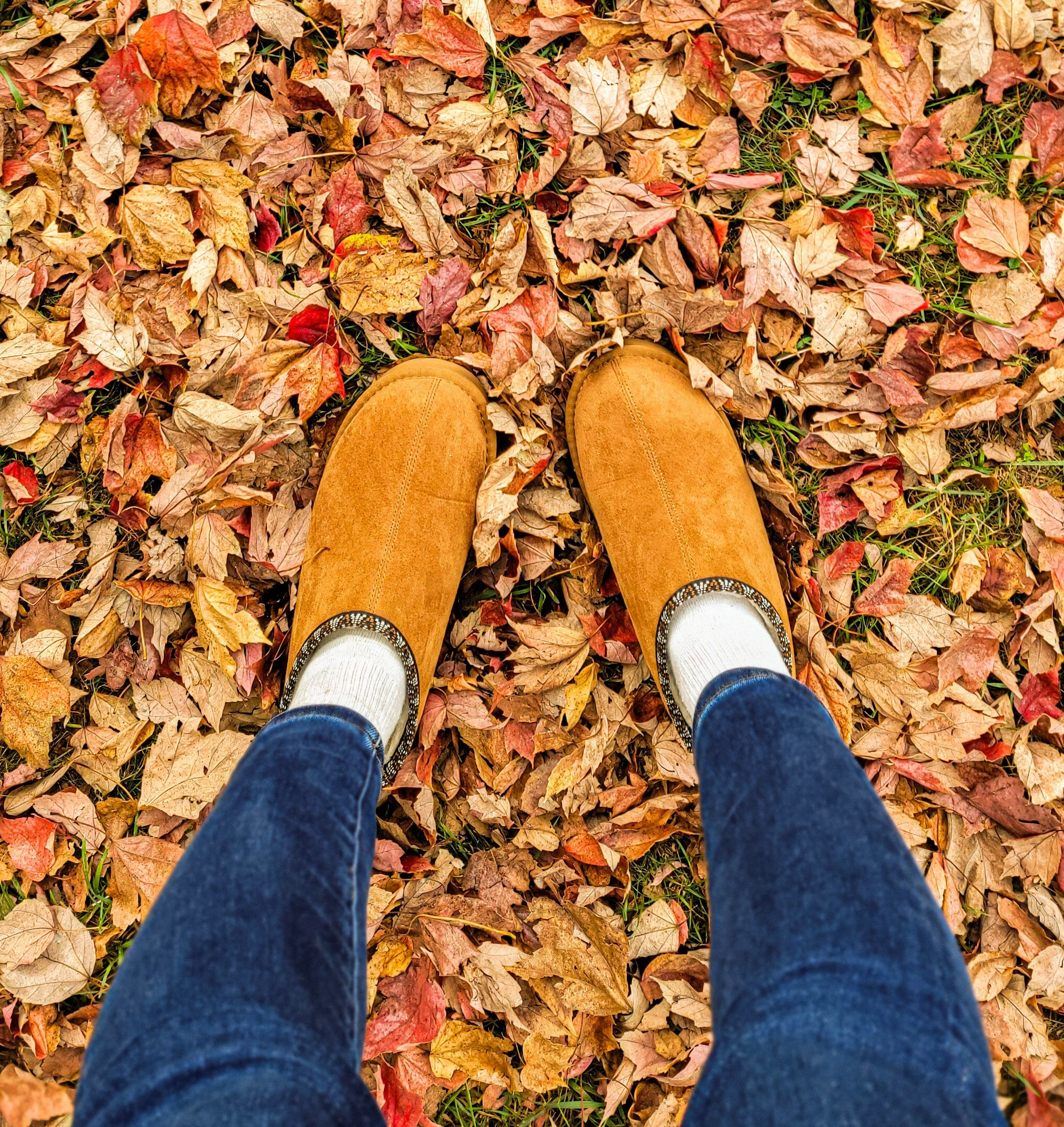Cozy clogs from walmart!

#LTKSeasonal #LTKU #LTKStyleTip