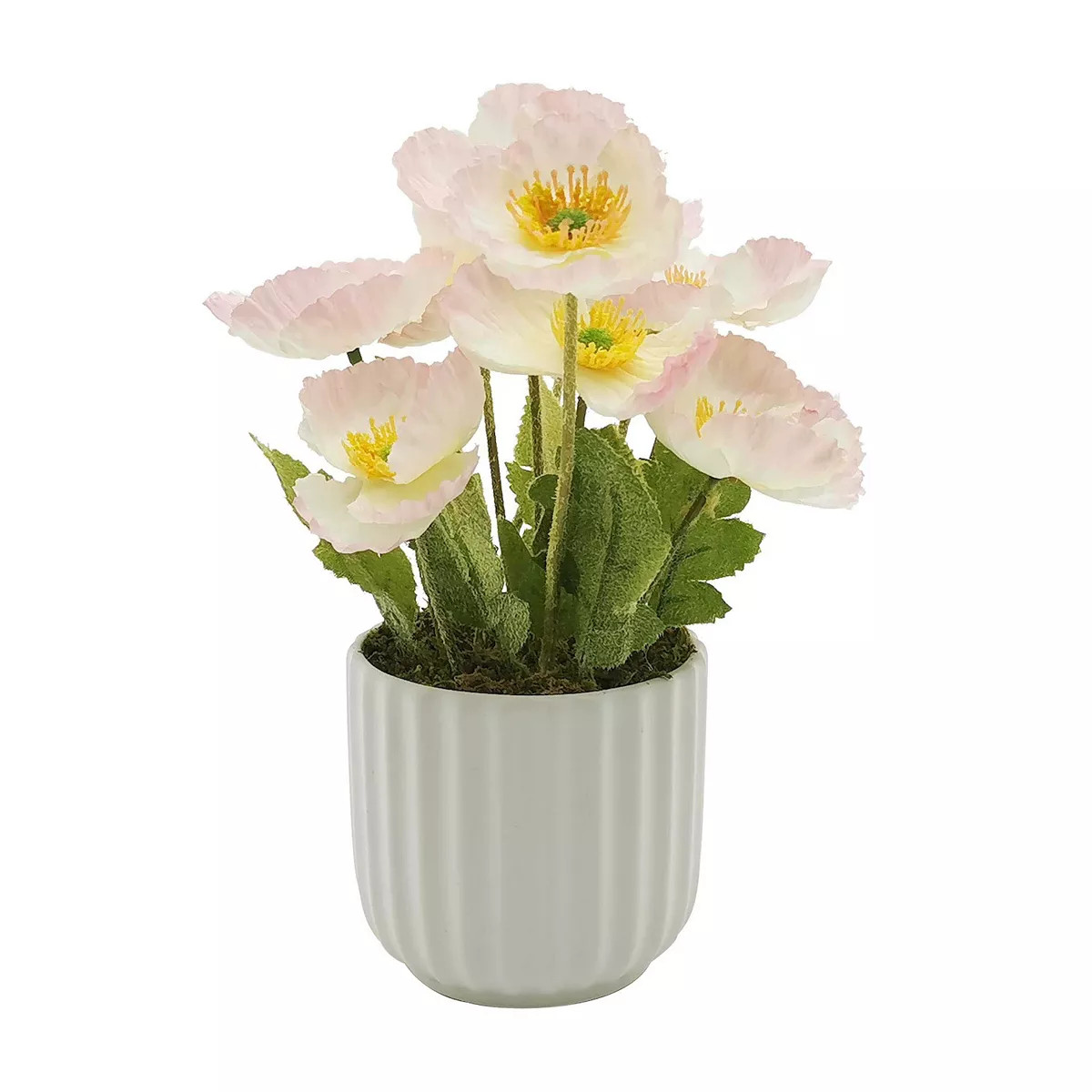 Sonoma Goods For Life® Artificial Potted Pink Tipped Poppies | Kohl's
