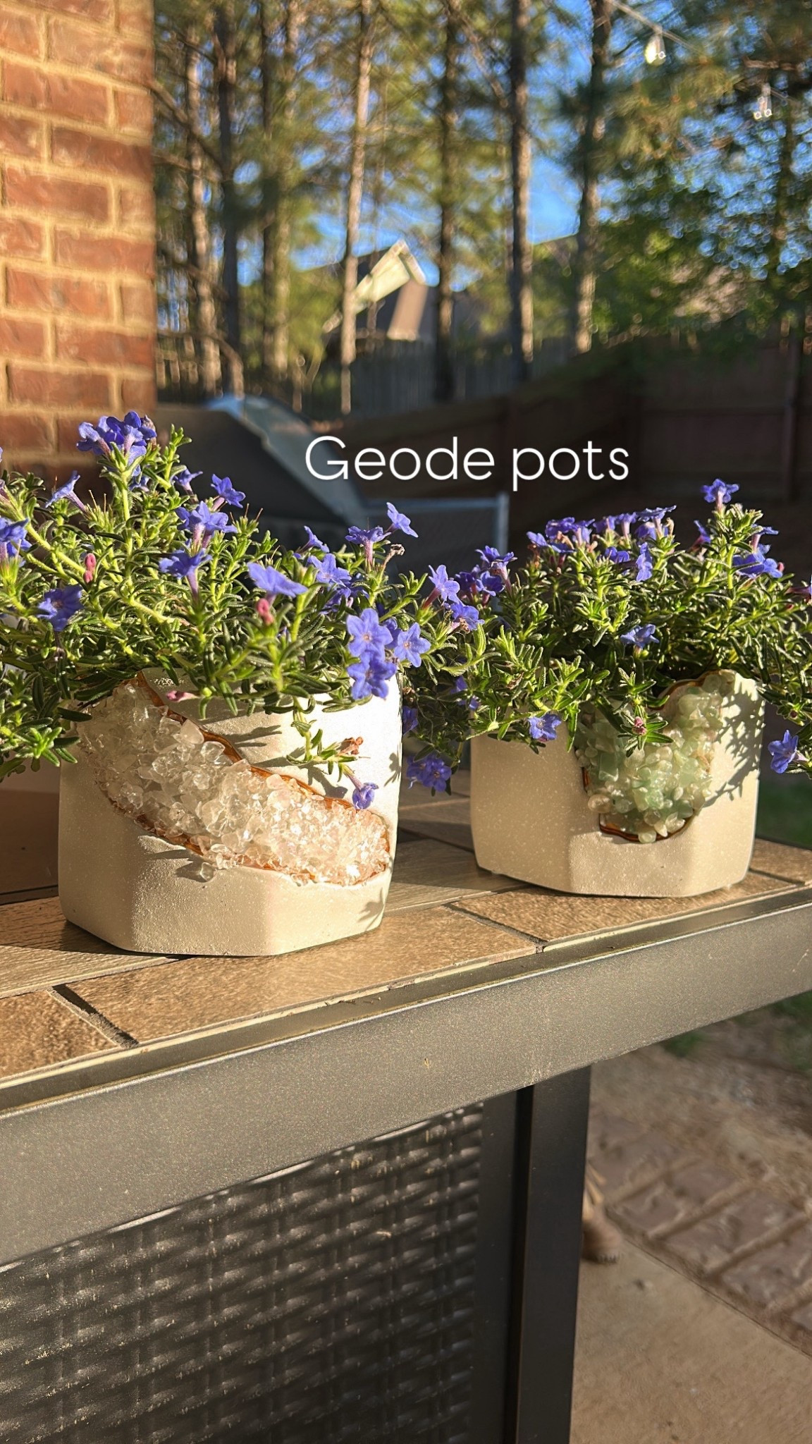 Linking some similar geode planter pots below! These are EXACT one’s are from Aldi for $5! #LTKplants #LTKplanters #LTKgarden #LTKpots 

#LTKSeasonal