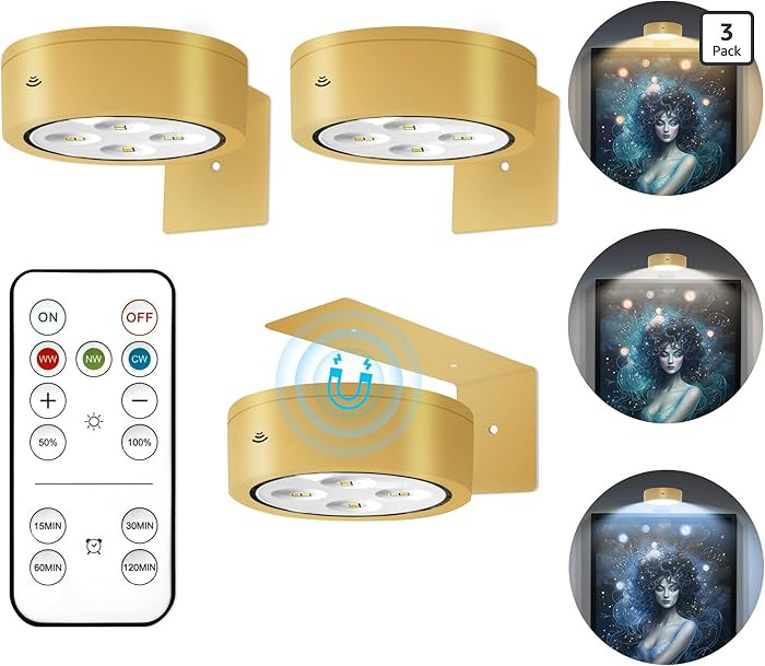 3Pcs Battery Operated Picture Light, Magnetic Led Painting Light with Remote Dimmable and Timer, ... | Amazon (US)