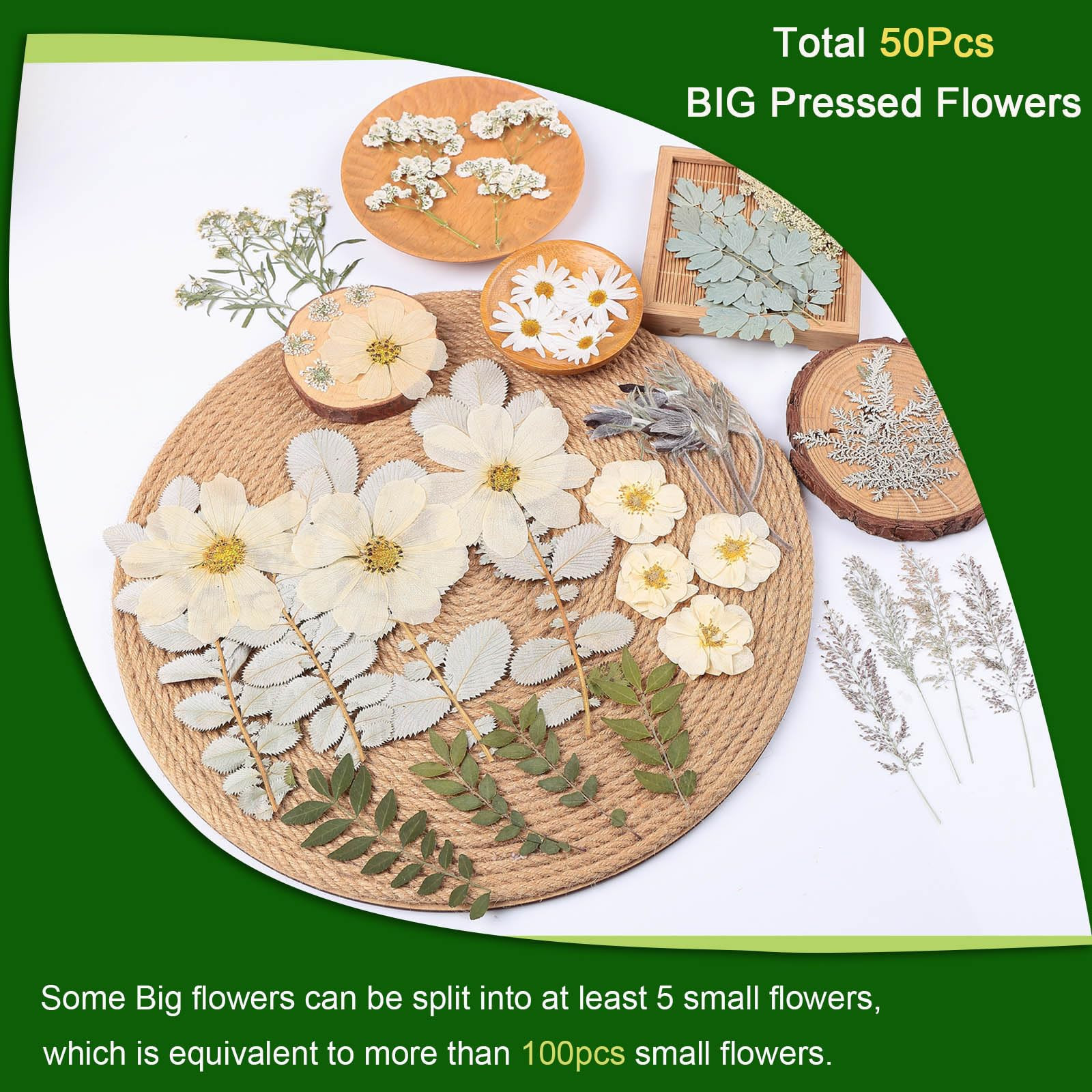 12“ Large Dried Pressed Flowers for Art Crafts, Real Dry Natural Flower Leaf Fruit Bulk for Res... | Amazon (US)