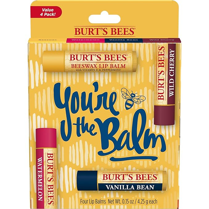 Burt's Bees Lip Balm Stocking Stuffers, Moisturizing Lip Care Christmas Gifts, You're the Balm - ... | Amazon (US)