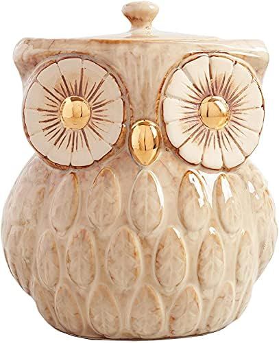 COLIBROX Ceramic Owl Cookie Jar - Rustic Decor with Vintage-Antique Look Food Container - Kitchen Or | Amazon (US)