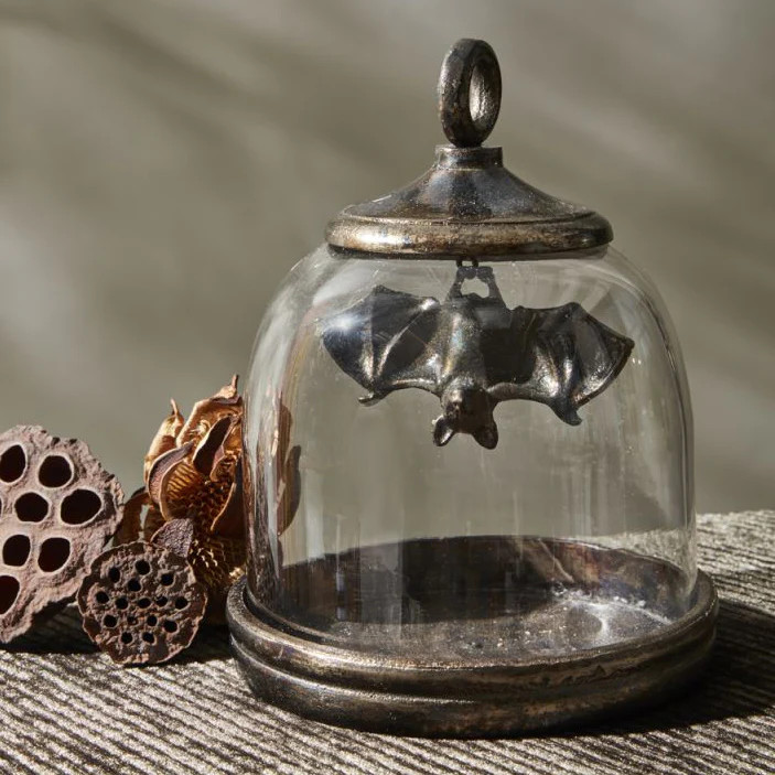 Bat Cave Cloche | Paynes Gray Inc