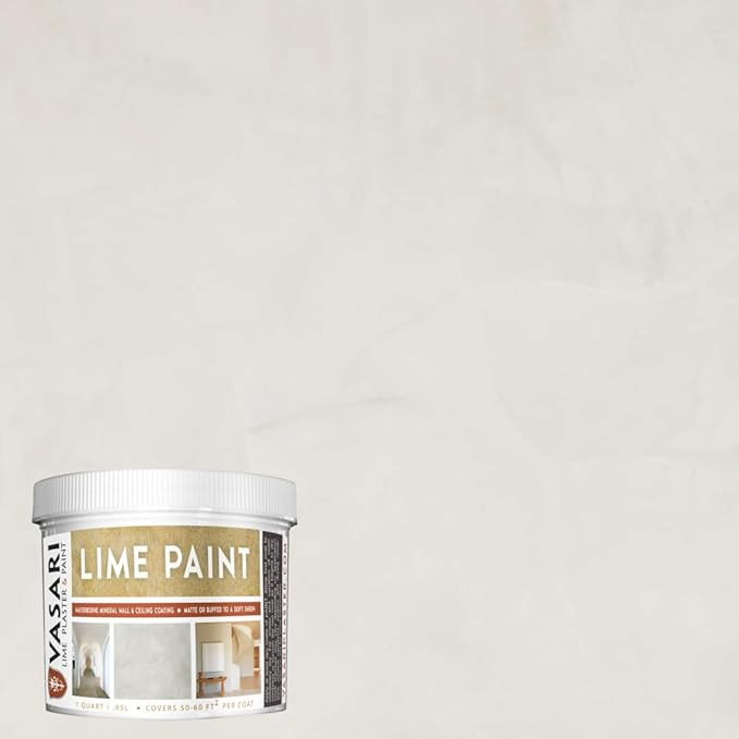 VASARI Lime Plaster & Paint | LIME PAINT | Made from Natural Lime and Powdered Marble | color: Al... | Amazon (US)