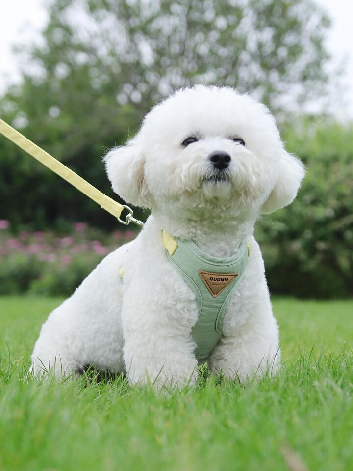 Anti-escape Cat Harness & Leash Set Adjustable Pet Traction Rope For Outdoor Walking | SHEIN