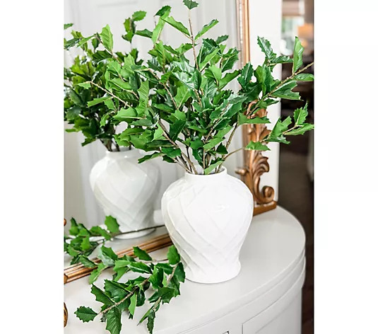 Simply Stunning S/6 Faux 24" Fresh Cut Holly Leaf Picks by Janine Graff | QVC