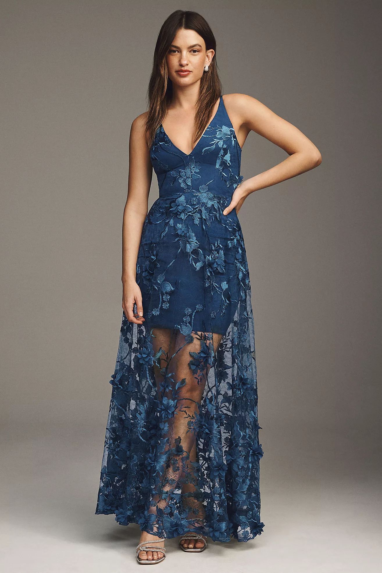 Dress The Population Sidney A-Line Sheer Lace Floral Appliqué Gown | Anthropologie (US)