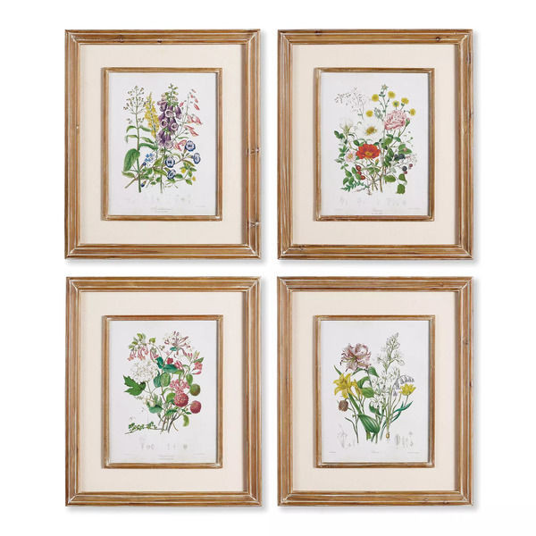 Garden Botanical Prints, Set Of 4
     
      15% OFF | Scout & Nimble