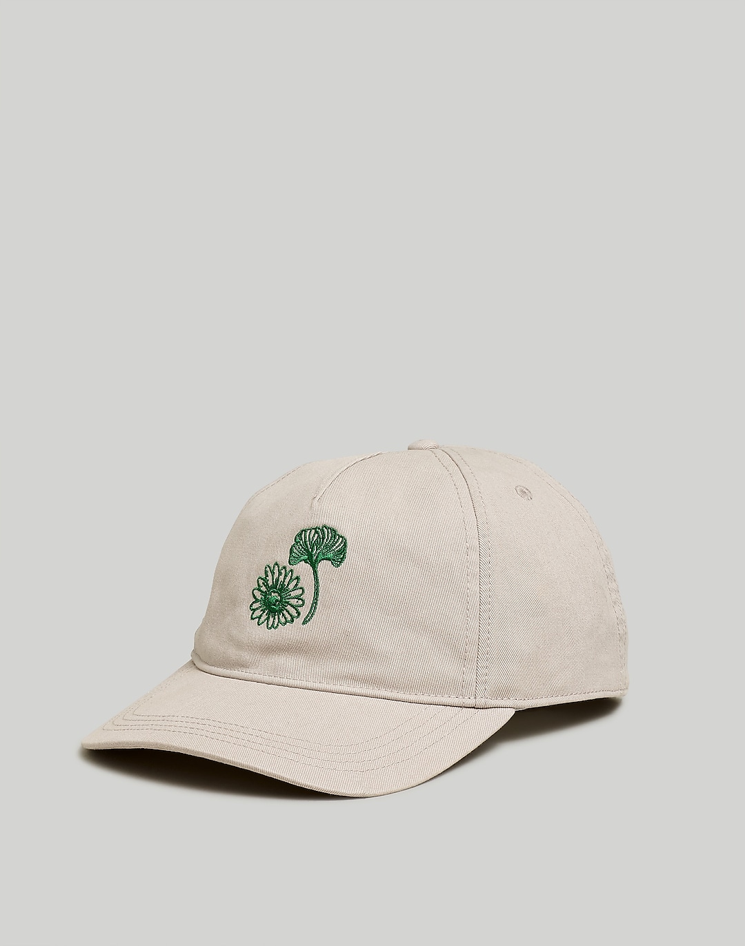 Embroidered Snapback Baseball Cap | Madewell