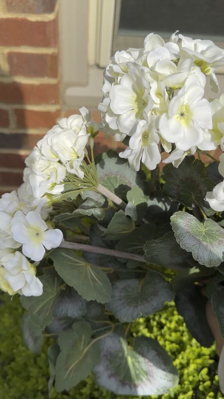 Lifelike artificial outdoor flowers. These geraniums did not disappoint!  I used them in both of my window box planters. 





Garden, Amazon, faux flowers 

#LTKhome