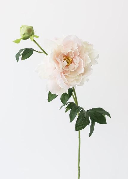 Artificial Peony Flower in Soft Pastel Pink - 30" Tall | Afloral (US)