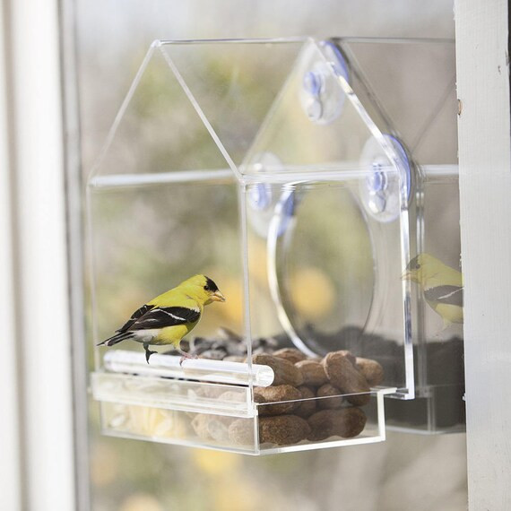 Window Mounted Clear Acrylic Bird House | Etsy | Etsy (US)