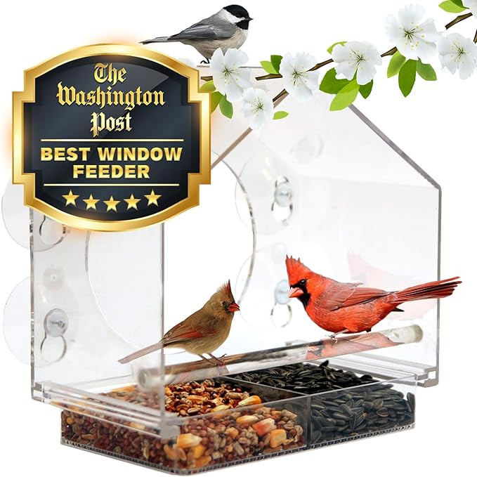 Window Bird Feeder by Nature Anywhere - Transparent Acrylic Bird Feeders for Outdoors - Enhanced ... | Amazon (US)