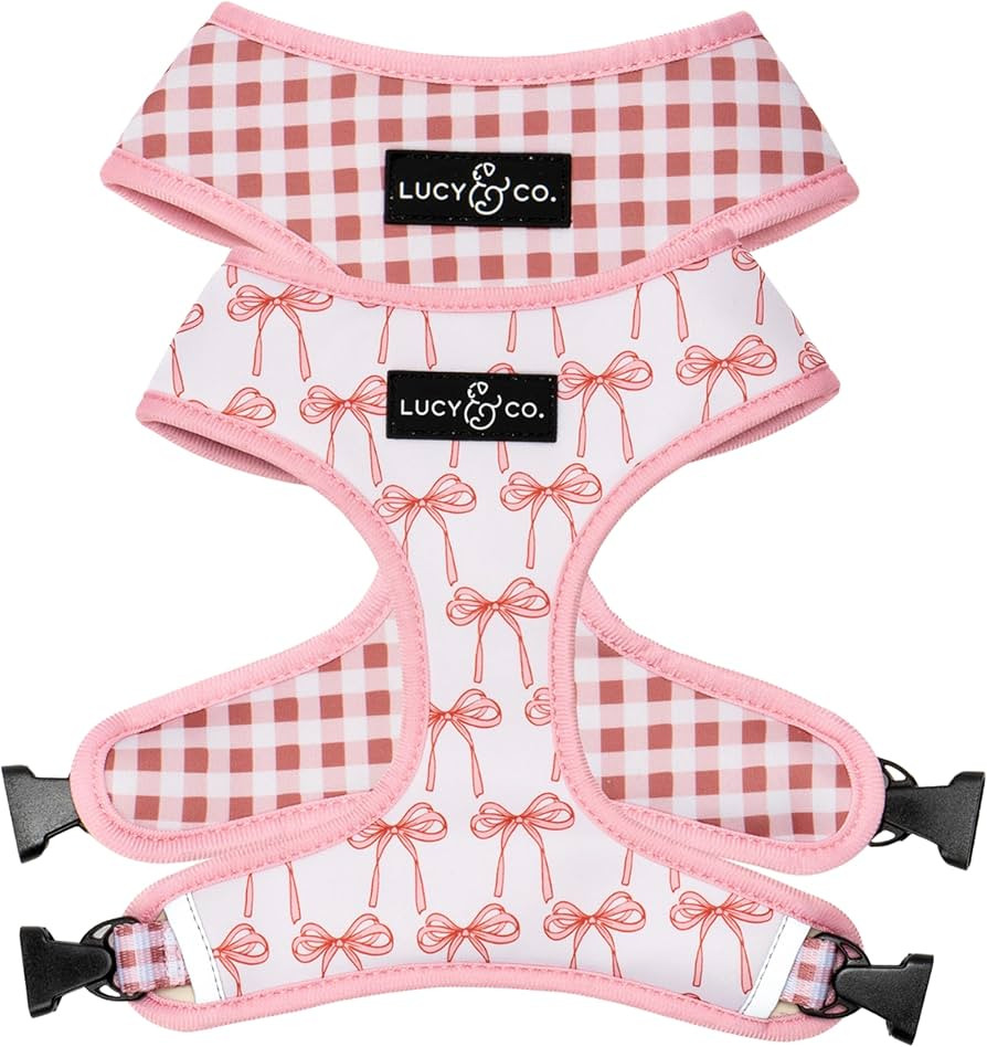 Lucy & Co. Cute Reversible Dog Harness Walking Halter - Best Designer Pet Harnesses for XS - XL D... | Amazon (US)