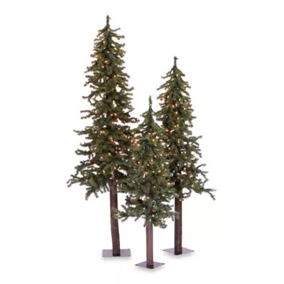 Vickerman Natural 3-Piece Alpine Pre-Lit Christmas Trees with Clear Lights | Bed Bath & Beyond