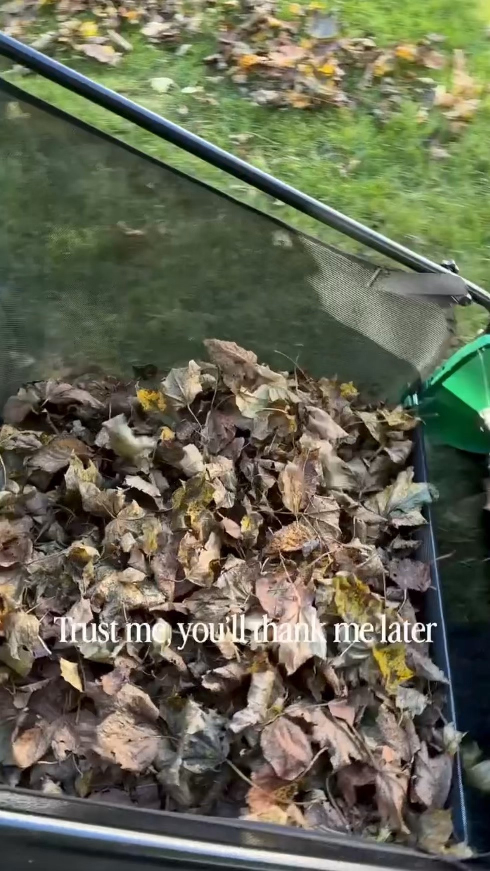 This beats raking any day of the week! Easy to use and empty, perfect for larger lots or yards with tons of leaves, and worth the price in my opinion! You’ll thank me later!

#LTKSeasonal #LTKHome