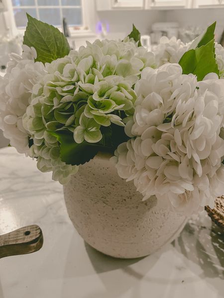 The prettiest faux hydrangeas from amazon, they are silk and so full, ordered a pack of white and green, loving the colors of them. Perfect spring home decor. 

Wedding guest dress, swimsuit, white dress, travel outfit, country concert outfit, maternity, summer dress, sandals, coffee table,






#LTKSeasonal #LTKHome #LTKSaleAlert