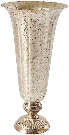 Lita Distressed Metal Vase | Indoor/Outdoor Decor - Champagne Flute Shape (6.5"x14") | Amazon (US)