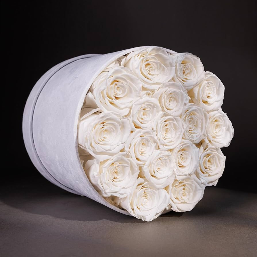 Prifroti 17 Flowers in a Luxury Suede Box, Birthday Gifts for Women, Preserved Flowers, Mothers D... | Amazon (US)