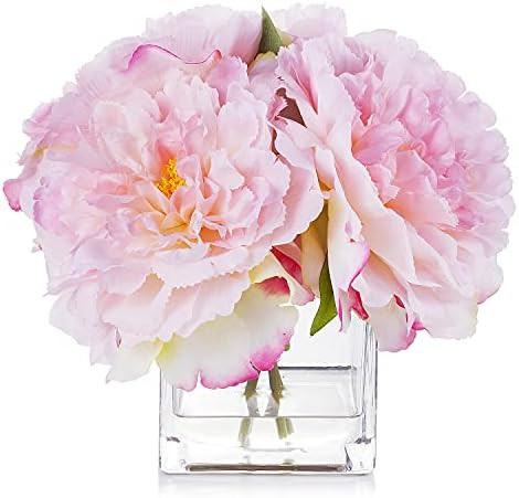 Enova Floral Artificial Flowers Silk Peony Fake Flowers Arrangement in Cube Glass Vase with Faux ... | Amazon (US)