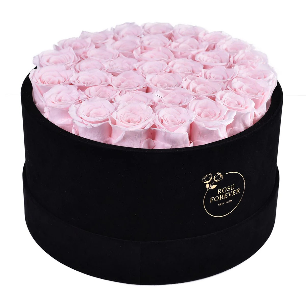 36 Light Pink Roses - Black Round Velvet Box | Rose Forever 