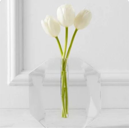 Obsessed with this crystal bud vase!  Comes in two different sizes. Both under $50!







Z gallerie, modern, designer, florals, 

#LTKhome #LTKunder50 #LTKFind