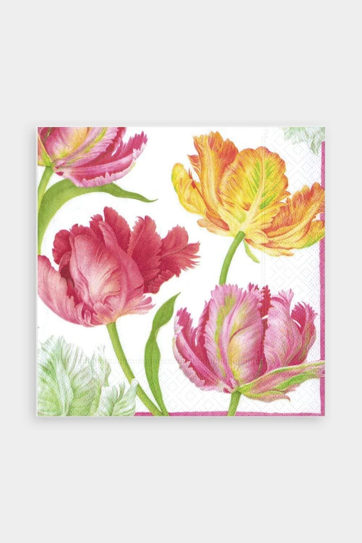 Tulip Dance Paper Luncheon Napkins | Shop Olivia