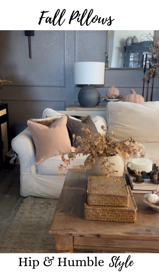 Fall pillows- accent pillows, coffee table
Decor, sofa table decor 

#LTKStyleTip #LTKHome #LTKSeasonal
