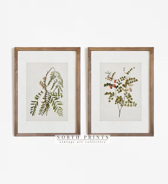 Vintage Botanical Print SET of Two  Farmhouse Decor PRINTABLE | Etsy Canada | Etsy (CAD)