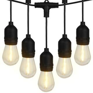 12 Edison Bulb Lights, 40 ft. Indoor/Outdoor Plug-In Integrated LED Edison String -Light | The Home Depot