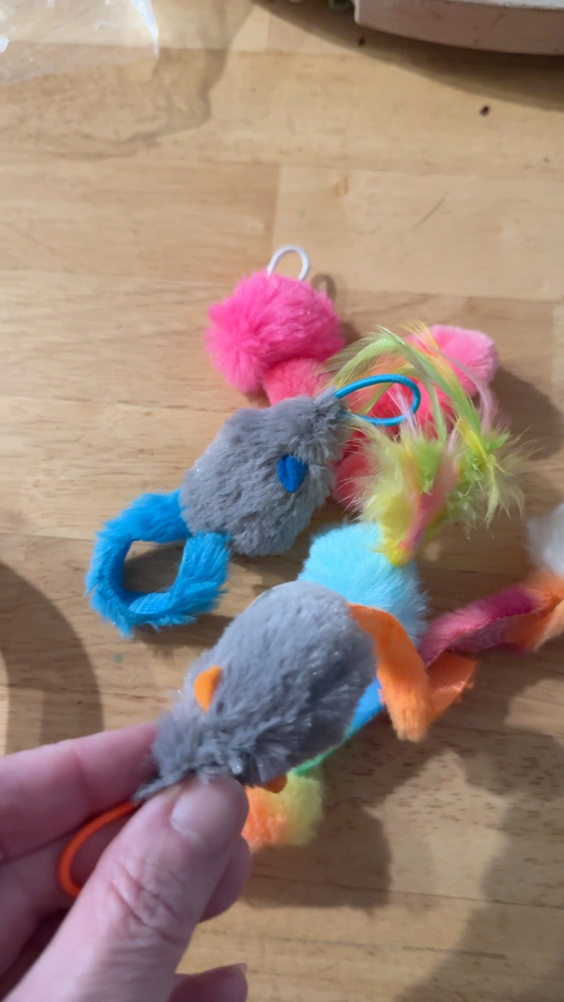 Quinny is the type of cat who needs constant attention and stimulation, this interactive cat toy trom Happy Code has been a game changer. thought my cat was broken, turns out she just needed the right toy 😂 


#LTKFamily #LTKFindsUnder50 #LTKPets