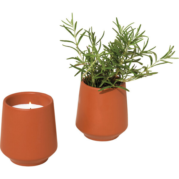 Rooted Candle, Rosemary | Maisonette