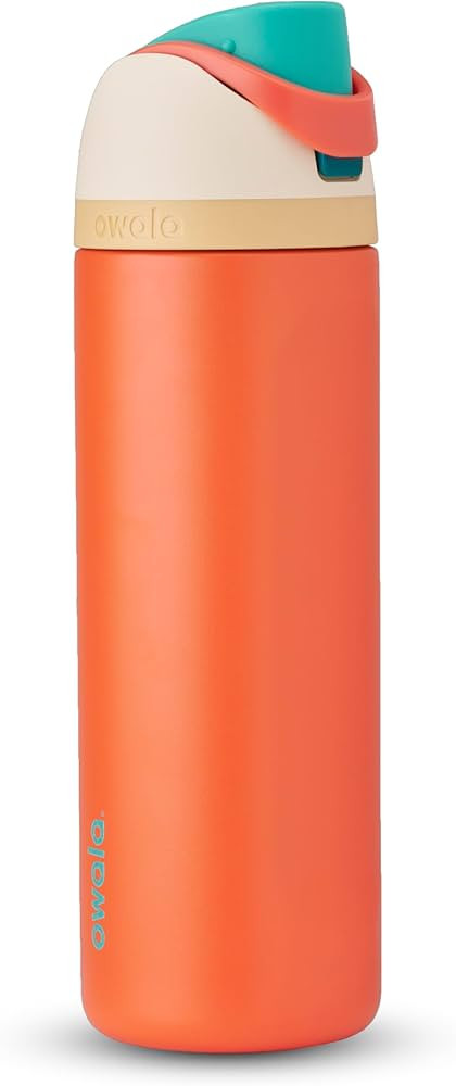 Owala Disney Princess FreeSip Insulated Stainless Steel Water Bottle with Straw for Sports and Tr... | Amazon (US)