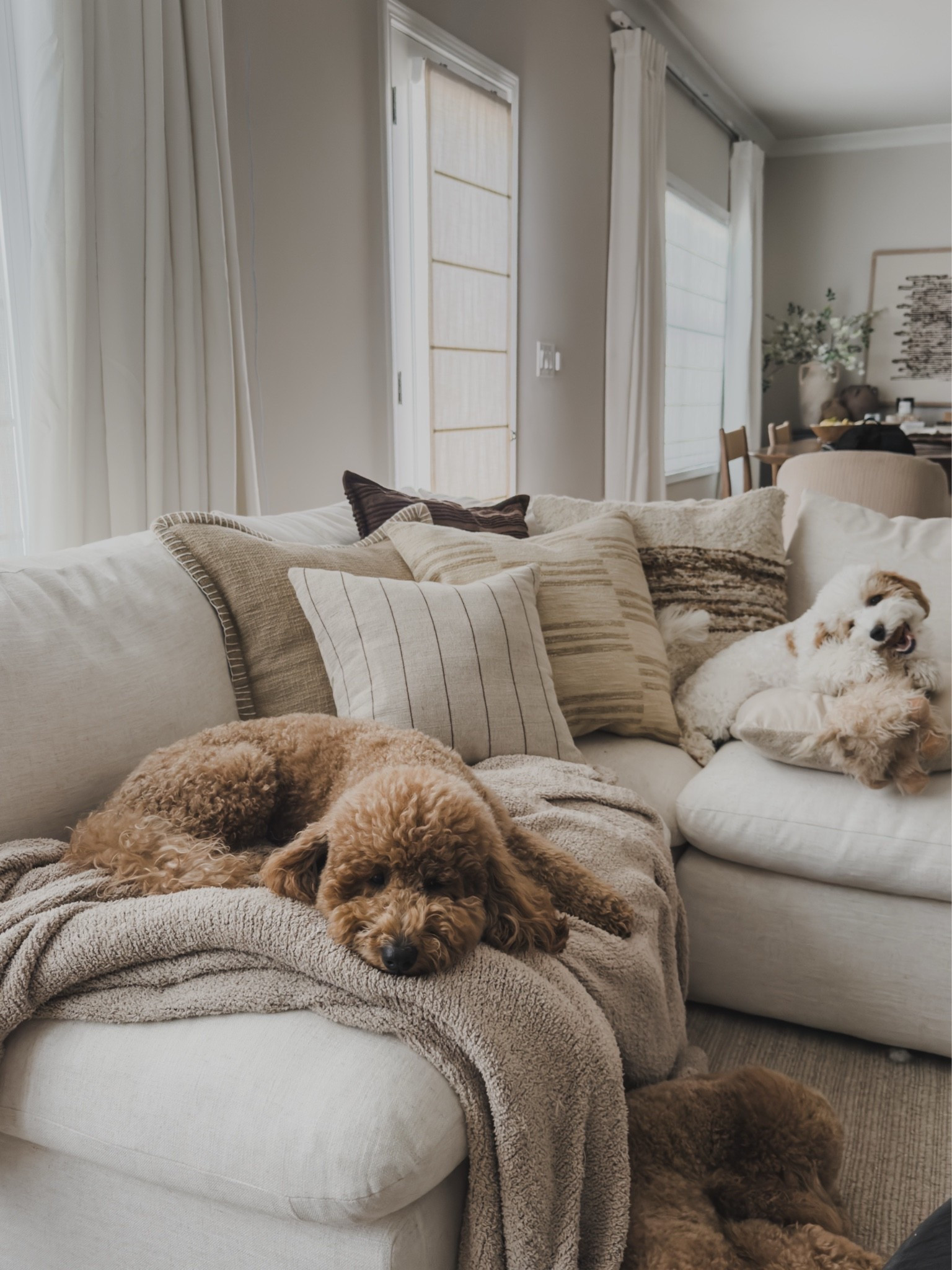 My collection of @wayfair throw pillows seems to keep growing, and honestly, I'm not mad about it.

They're some of my favorite home finds because they make it so easy to refresh a space without changing the bigger pieces. I tend to stick with neutral tones, subtle patterns, and lots of texture so I can mix and match them throughout our home while still keeping everything feeling cohesive.

The quality is so good, and they've held up beautifully over time. Whether they're styled on the sectional, a bed, or an accent chair, they're one of those details that instantly makes a space feel more cozy and collected.

#wayfair #AD #wayfair @wayfair

#LTKHome #LTKSaleAlert