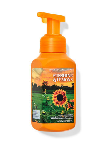 Sunshine & Lemons


Gentle & Clean Foaming Hand Soap | Bath & Body Works