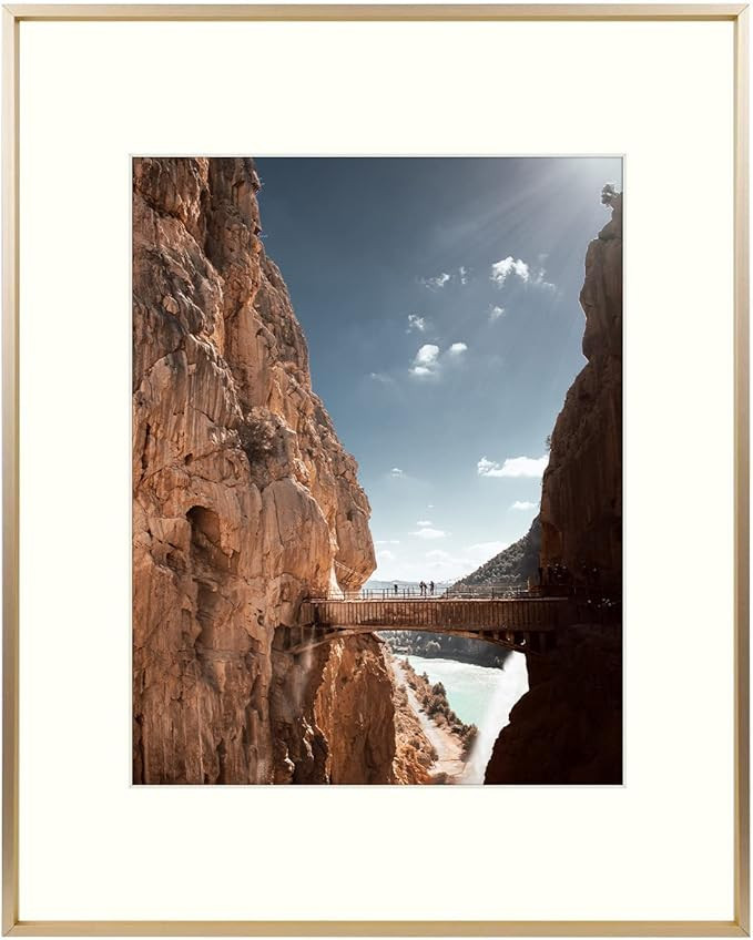 Mat Board Center, 16x20 Aluminum Picture Frame - Displays 11x14 with Mat and 16x20 Without Mat - ... | Amazon (US)