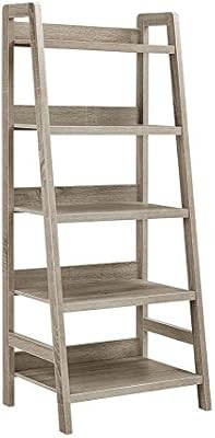 Linon Tracey Ladder Bookcase, 25"W x 17.99"D X 60"H, Gray Wash | Amazon (US)