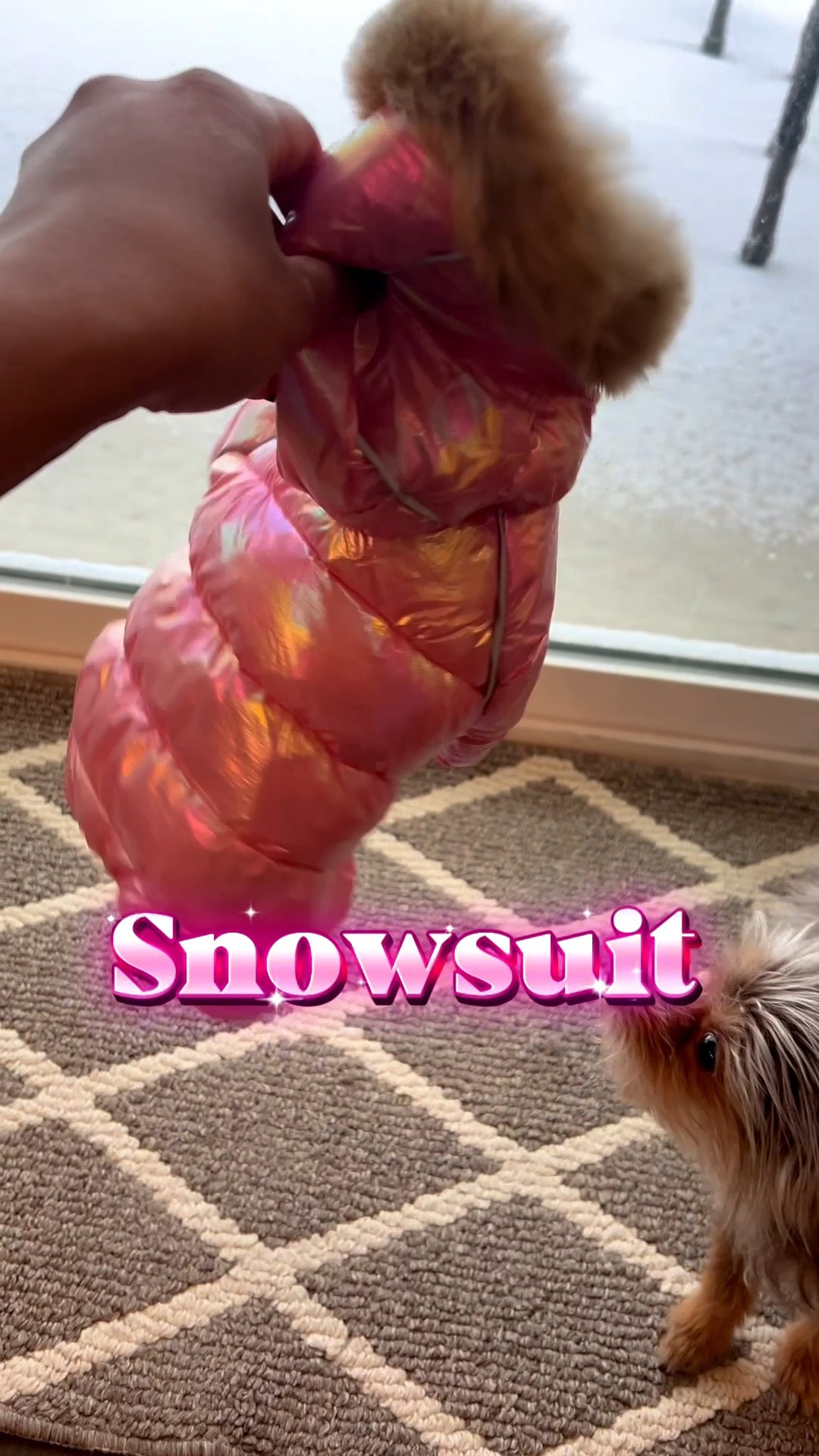 All 4 pounds of her said absolutely not ❄️😂

Snowsuit ✔️ Booties ✔️ Shoveled potty area ✔️

Still…..not impressed 😩

Is anyone else’s dog absolutely offended by the snow?☃️🐾

#LTKvlog #LTKgrwm #LTKdayinmylife