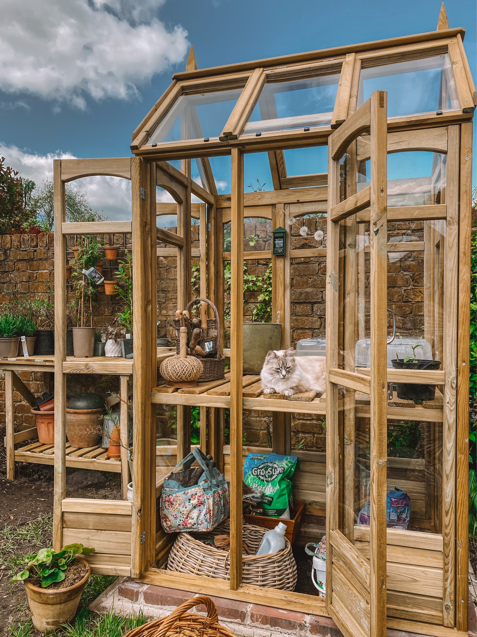My beautiful Greenhouse - perfect for a smaller garden. It’s absolutely beautiful, easy to install and easy to use. It also looks so pretty in our little cottage garden and compared to most is relatively inexpensive. 🪴 

#LTKhome