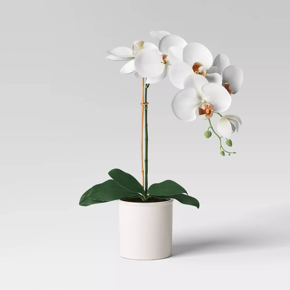 Orchid in White Pot - Threshold™ | Target
