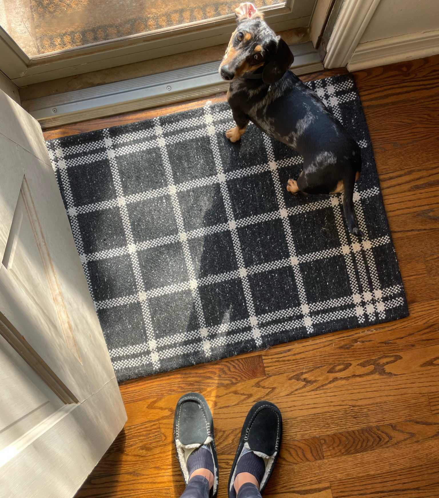 Welcome rug, rug, back door rug, front door rug, rug, target, target finds, target rug, plaid rug, black and white rug, black and white plaid rug, ugg, ugg slippers, slippers, slippers on sale

#LTKhome #LTKSeasonal #LTKHoliday
